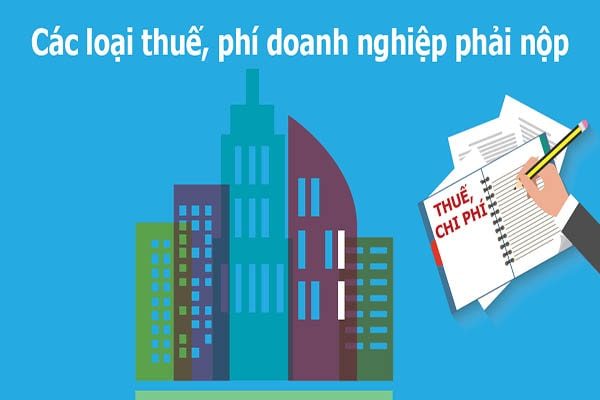 Thành lập công ty phải đóng những loại thuế gì? Công ty luật Sunlaw