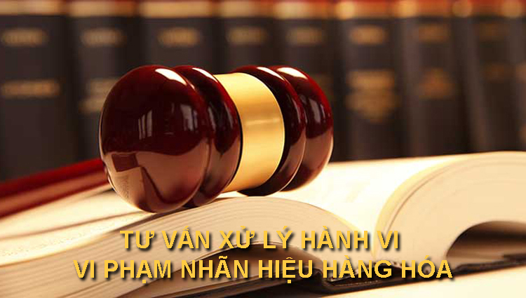 Dịch vụ tư vấn xử lý vi phạm, nhãn hiệu tại thành phố Nha Trang – Khánh Hoà