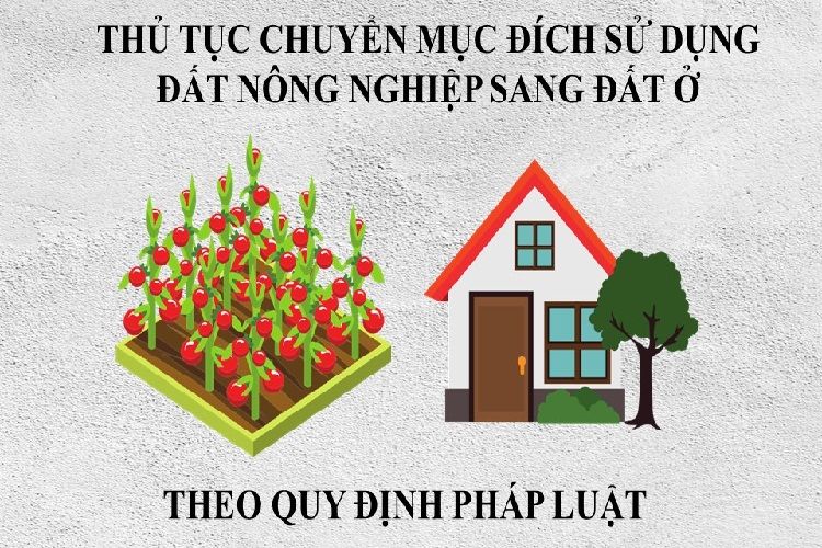 Chuyển đổi mục đích từ đất vườn sang đất ở cần những điều kiện và thủ tục như thế nào ?